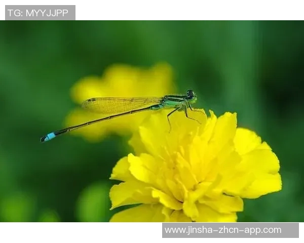 金沙娱乐场注册送99-金沙娱乐场注册送99,新会员的独家福利-金沙娱乐场注册送99 金沙娱乐场注册送99-金沙娱乐场注册送99,新会员的独家福利-金沙娱乐场注册送99